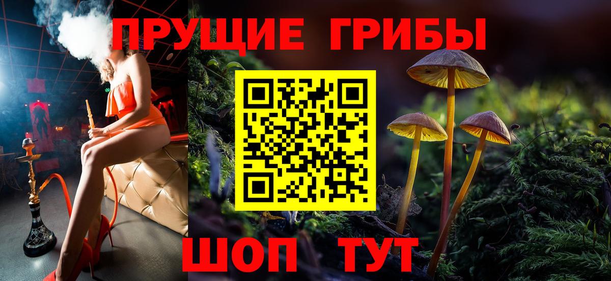 купить наркотики цена  Вход с VPN  Качканар  Псилоцибиновые грибы Psilocybine cubensis 