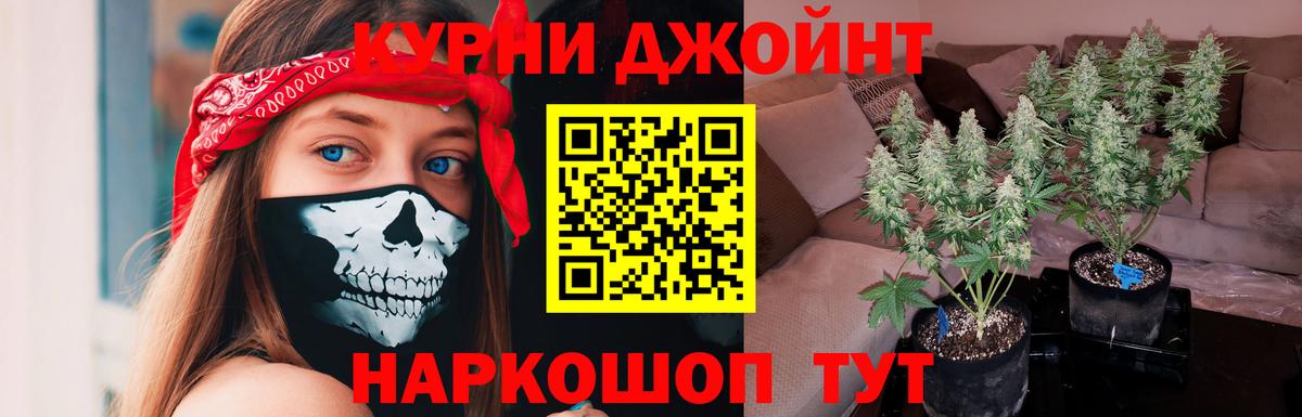Каннабис индика  Канабис сатива  Марихуана VHQ  Вход с VPN  Бошки марихуана план  Качканар 
